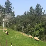 Quinta Da Casa Azul 펜션