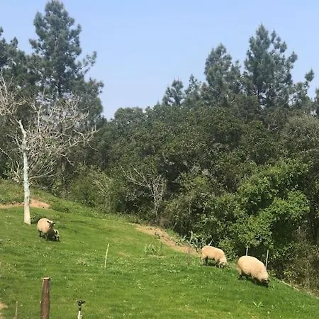 Quinta Da Casa Azul بيت للعطل